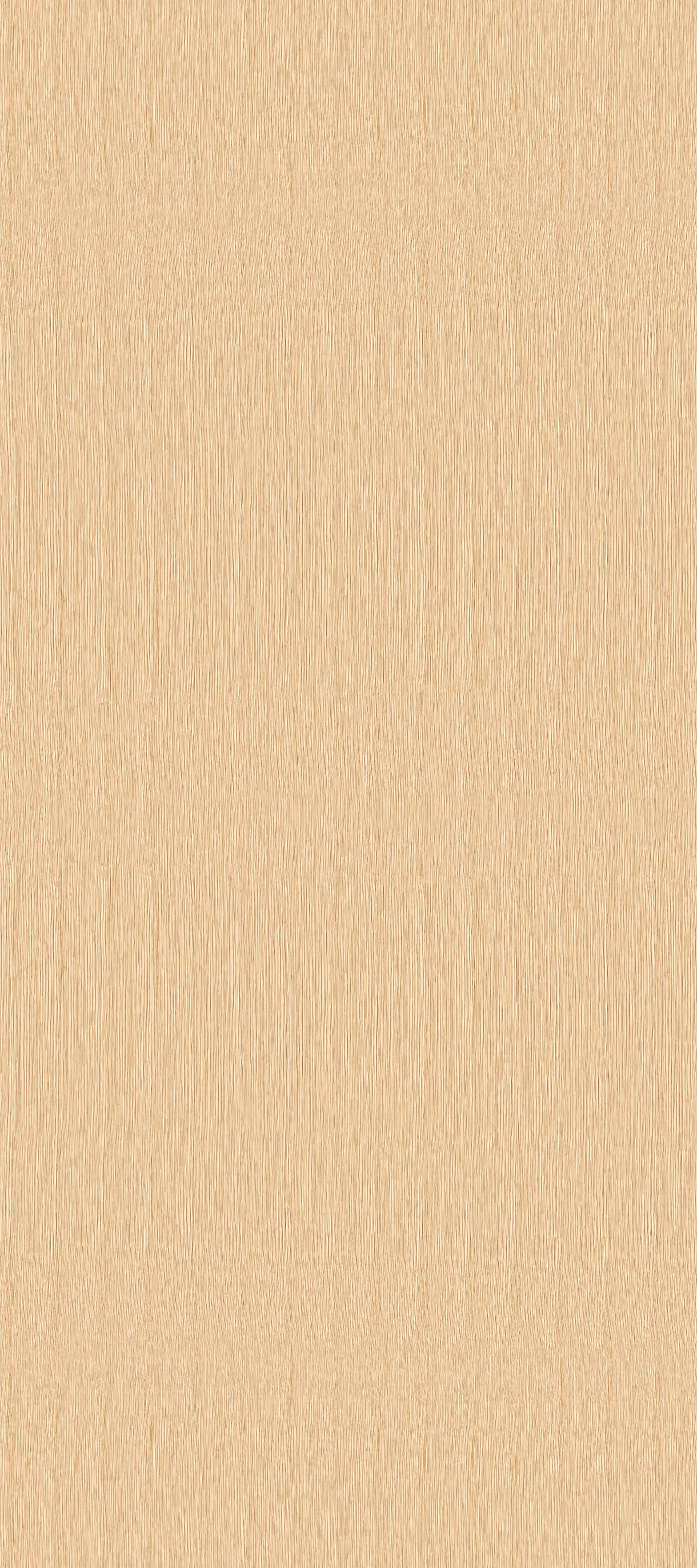 WN15本色白橡